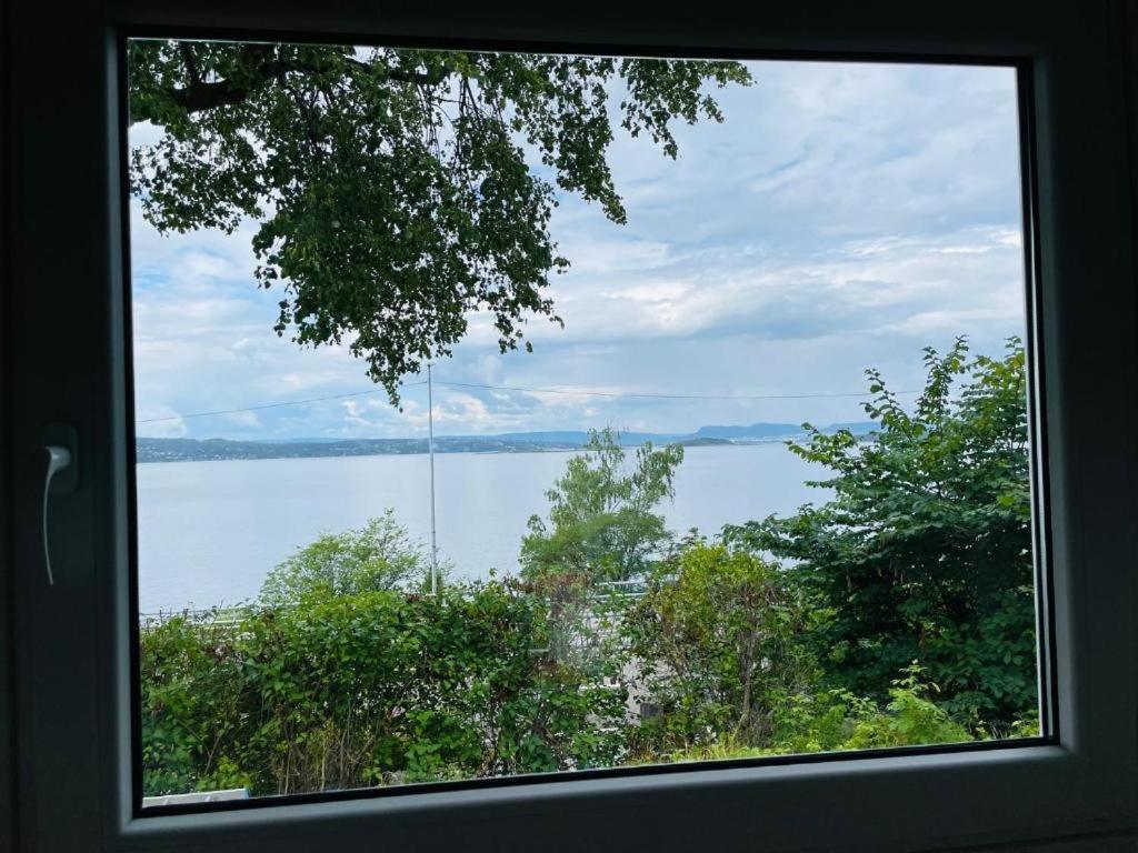 Nice Apartment With1 Bedroom Separate Living Room With A Sofa Bed And A Tiny Kitchen A Bathroom Located In Nordstrand Near By The Sea For 3 Guests With A Garden And Grill 5 Extra Guests With Extra Cost In The Cabin With Sea View Just Outside The Apar Oslo Extérieur photo